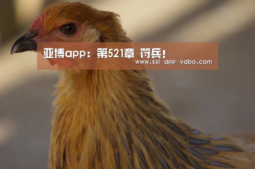 亚博app:第521章 符兵!(图2) 亚博app